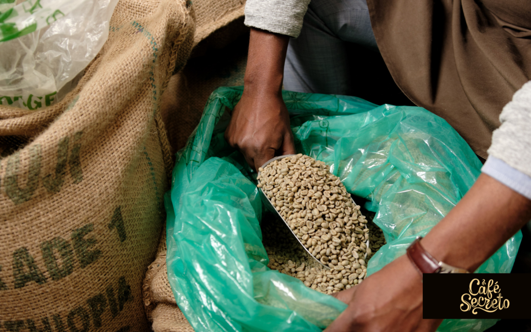 Café de Etiopía: un Producto con Características Únicas
